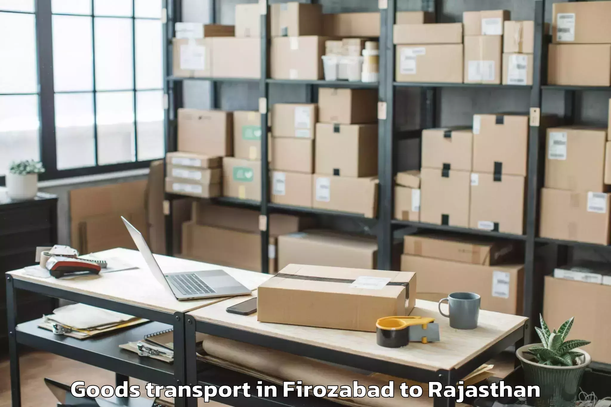 Professional Firozabad to Kishangarh Goods Transport